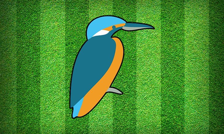 Image-Redditch-Hockey-1